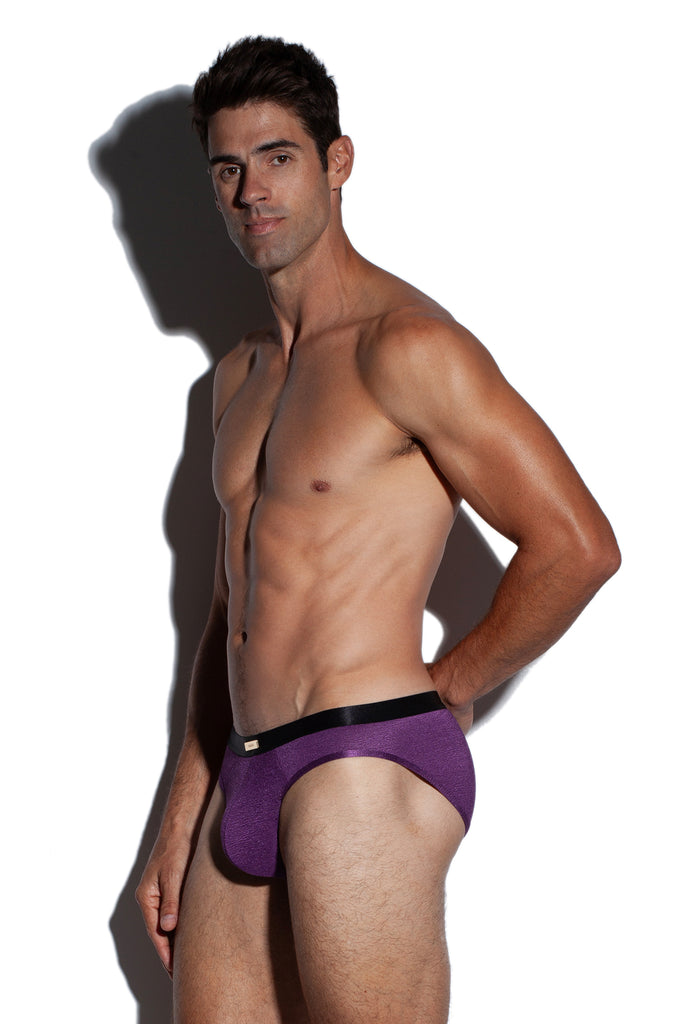 LUSTER PARTY BRIEF LUSTER PURPLE