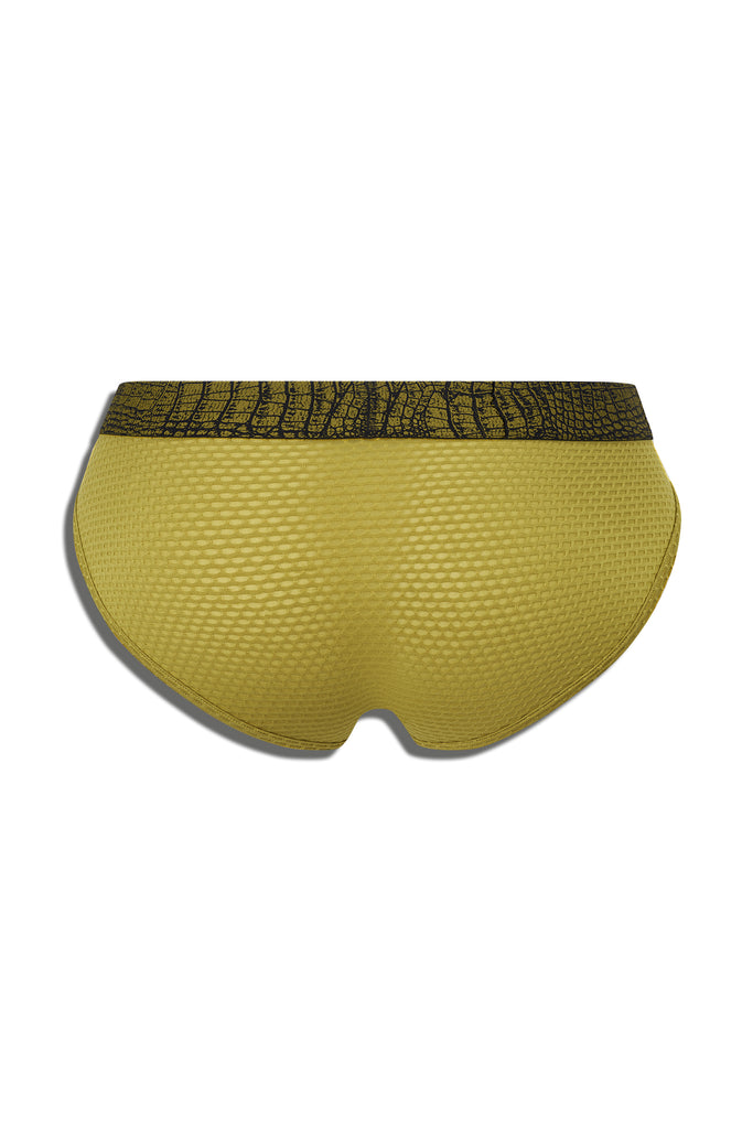 APEX PREDATOR BRIEF - PYTHON YELLOW