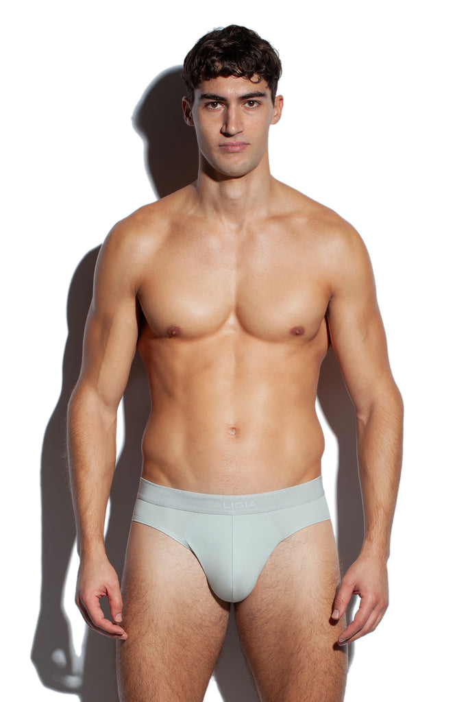 GREEK ACANTHUS BRIEF - GREY